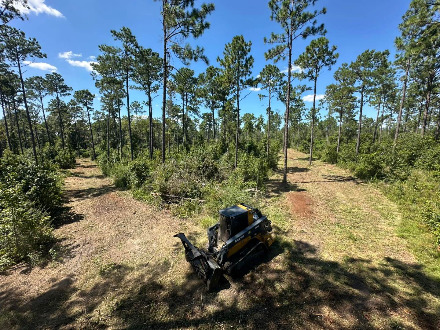 Forestry mulching machinery grinding brush on a job site